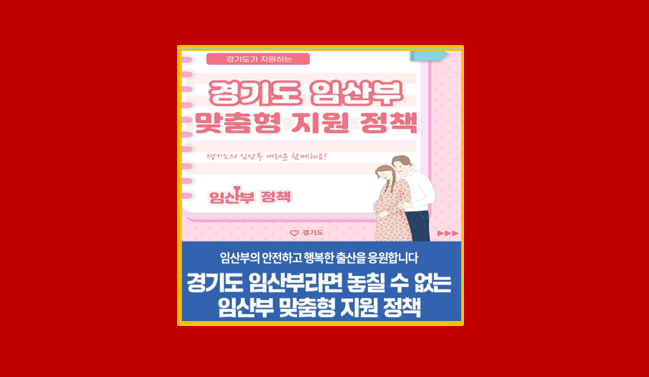 경기도 임산부