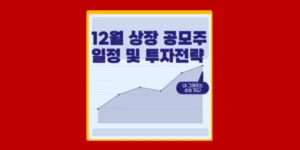 12월 공모주 청약