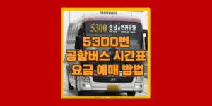 5300번 공항버스