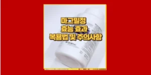 마그밀정 효능