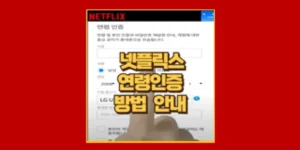 넷플릭스 연령인증